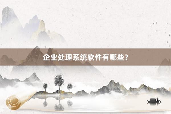 企业处理系统软件有哪些？
