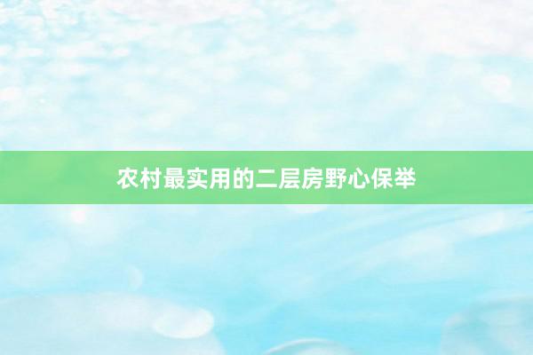 农村最实用的二层房野心保举