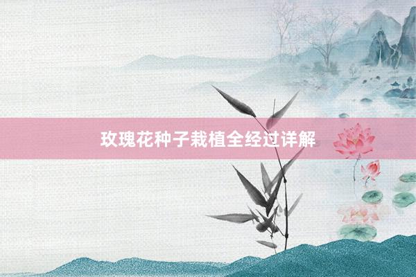 玫瑰花种子栽植全经过详解